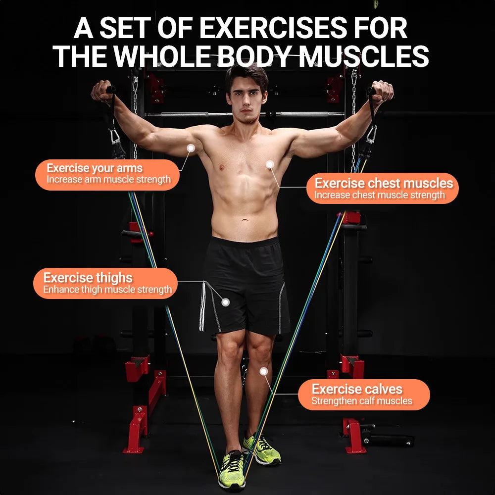 Bodybuilding Resistance Bands Set Multi-function Tensioner Suit